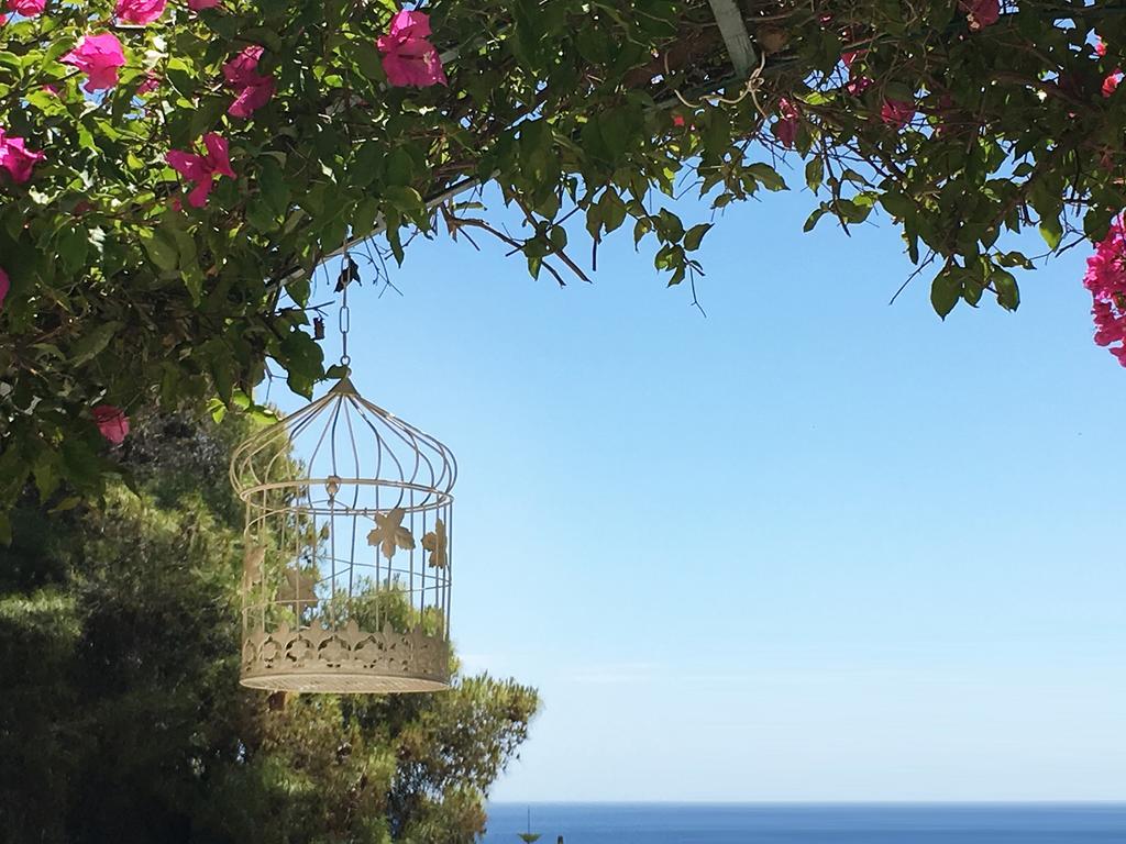 123 Soleil Studios Agia Marina  Exterior photo
